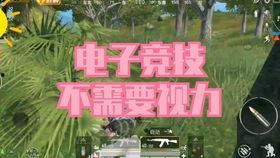 和平精英最新爆料击杀王,击杀王荣耀归来,谁将问鼎巅峰?